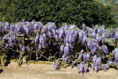 SPRING IN SPAIN. FLOWERS AND LANDSCAPES