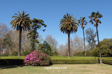 FOLHAS OTOÑALES. OUTONO. PAISAGENS.