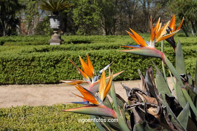 PRIMAVERA. PAISAJES Y NATURALEZA. FLORES, CAMPOS...