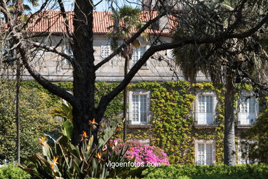 SPRING IN SPAIN. FLOWERS AND LANDSCAPES