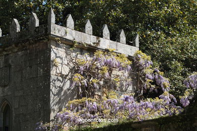 SPRING IN SPAIN. FLOWERS AND LANDSCAPES