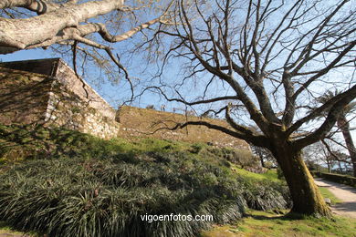 SPRING IN SPAIN. FLOWERS AND LANDSCAPES