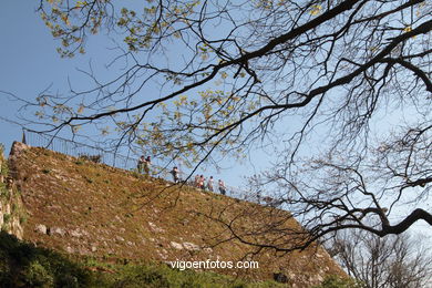 SPRING IN SPAIN. FLOWERS AND LANDSCAPES