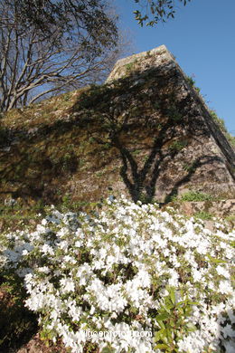 SPRING IN SPAIN. FLOWERS AND LANDSCAPES