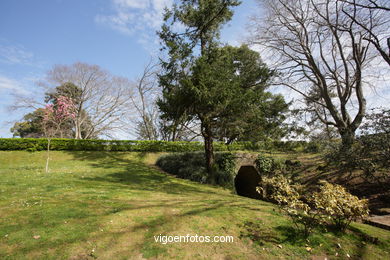 SPRING IN SPAIN. FLOWERS AND LANDSCAPES