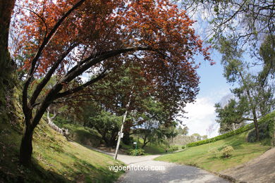 SPRING IN SPAIN. FLOWERS AND LANDSCAPES