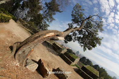 FOLHAS OTOÑALES. OUTONO. PAISAGENS.