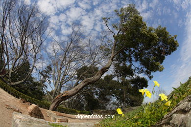 SPRING IN SPAIN. FLOWERS AND LANDSCAPES