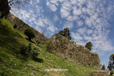 SPRING IN SPAIN. FLOWERS AND LANDSCAPES