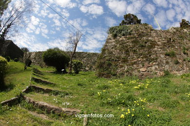 SPRING IN SPAIN. FLOWERS AND LANDSCAPES