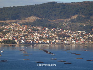 Vigo Bay