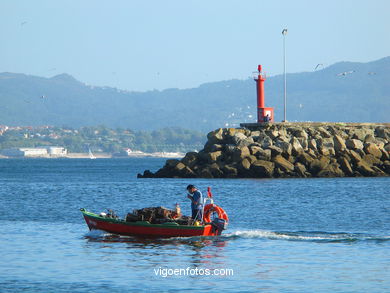 LA RÍA DE VIGO