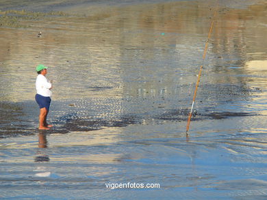 LA RÍA DE VIGO