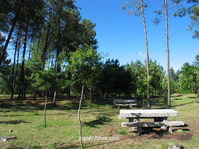 PARQUE FLORESTAL DE ZAMÁNS