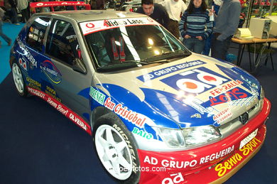 COCHES: SALÓN DEL AUTOMÓVIL 2002