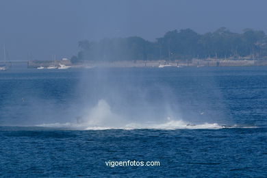 AIR ACCIDENT. HELICOPTER. AIRSHOW 2006. VIGO (SPAIN)