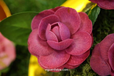 CAMELIAS. FLOR - 44 CONCORRO EXPOSIÇÃO DA CAMELIA 2008