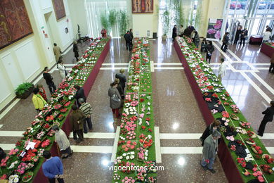 IKEBANA - CAMELLIA COMPETITION 2005