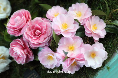 IKEBANA - CAMELLIA COMPETITION 2014