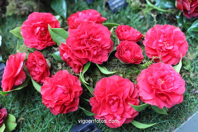 IKEBANA - CAMELLIA COMPETITION 2014