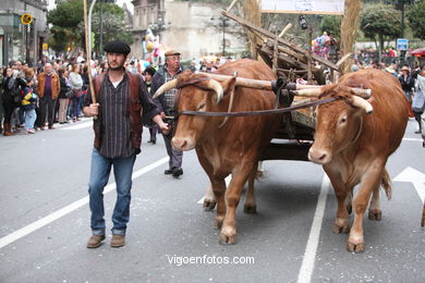 CARNIVAL 2014 - PROCESSION GROUP - SPAIN
