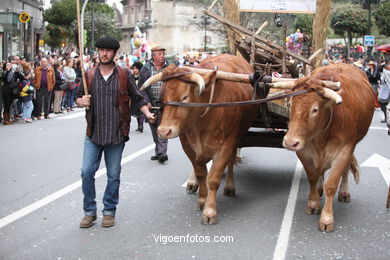 CARNAVAIS 2014 - DESFILE DE COMPARSAS