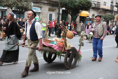 CARNAVALES 2014 - DESFILE DE COMPARSAS