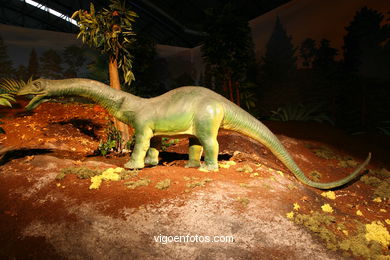 DINOSAURS - GOBISSAUROS EXHIBITION