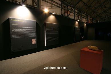 DINOSAUR FOSSIL - SKULLS AND BONES. UNIVERSAL EXHIBITION - GOBISSAUROS - DINOSAURS OF THE GOBI DESERT. EXTINCTION