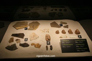 DINOSAUR FOSSIL - SKULLS AND BONES. UNIVERSAL EXHIBITION - GOBISSAUROS - DINOSAURS OF THE GOBI DESERT. EXTINCTION