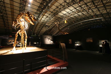 DINOSAUR FOSSIL - SKULLS AND BONES. UNIVERSAL EXHIBITION - GOBISSAUROS - DINOSAURS OF THE GOBI DESERT. EXTINCTION