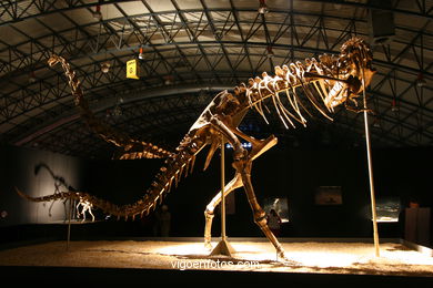 DINOSAUR FOSSIL - SKULLS AND BONES. UNIVERSAL EXHIBITION - GOBISSAUROS - DINOSAURS OF THE GOBI DESERT. EXTINCTION