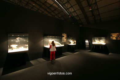 DINOSAUR FOSSIL - SKULLS AND BONES. UNIVERSAL EXHIBITION - GOBISSAUROS - DINOSAURS OF THE GOBI DESERT. EXTINCTION