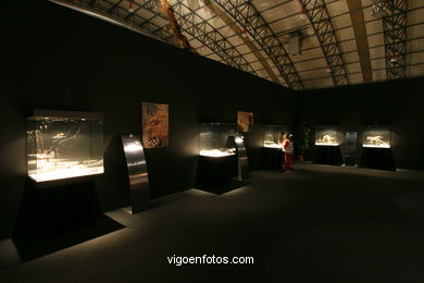 DINOSAUR FOSSIL - SKULLS AND BONES. UNIVERSAL EXHIBITION - GOBISSAUROS - DINOSAURS OF THE GOBI DESERT. EXTINCTION