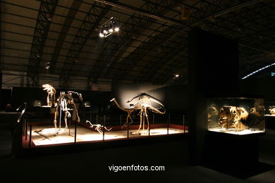 DINOSAUR FOSSIL - SKULLS AND BONES. UNIVERSAL EXHIBITION - GOBISSAUROS - DINOSAURS OF THE GOBI DESERT. EXTINCTION