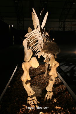 DINOSAUR FOSSIL - SKULLS AND BONES. UNIVERSAL EXHIBITION - GOBISSAUROS - DINOSAURS OF THE GOBI DESERT. EXTINCTION