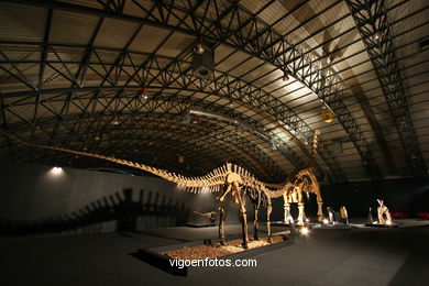 DINOSAUR FOSSIL - SKULLS AND BONES. UNIVERSAL EXHIBITION - GOBISSAUROS - DINOSAURS OF THE GOBI DESERT. EXTINCTION