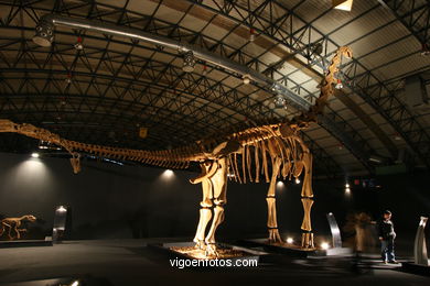 DINOSAUR FOSSIL - SKULLS AND BONES. UNIVERSAL EXHIBITION - GOBISSAUROS - DINOSAURS OF THE GOBI DESERT. EXTINCTION