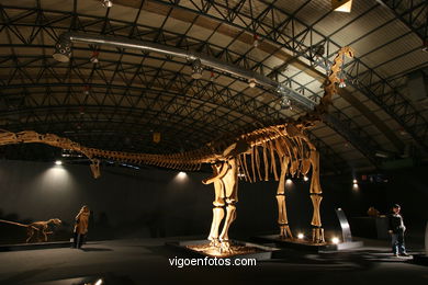 DINOSAUR FOSSIL - SKULLS AND BONES. UNIVERSAL EXHIBITION - GOBISSAUROS - DINOSAURS OF THE GOBI DESERT. EXTINCTION