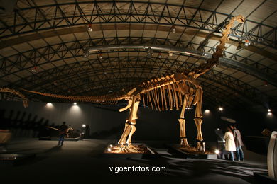 DINOSAUR FOSSIL - SKULLS AND BONES. UNIVERSAL EXHIBITION - GOBISSAUROS - DINOSAURS OF THE GOBI DESERT. EXTINCTION