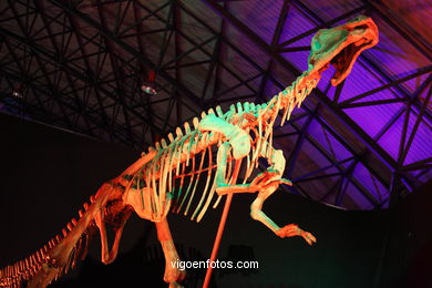 DINOSAUR FOSSIL - SKULLS AND BONES. UNIVERSAL EXHIBITION - GOBISSAUROS - DINOSAURS OF THE GOBI DESERT. EXTINCTION