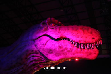 DINOSAUR FOSSIL - SKULLS AND BONES. UNIVERSAL EXHIBITION - GOBISSAUROS - DINOSAURS OF THE GOBI DESERT. EXTINCTION