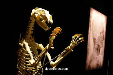 ÉRASE UNA VEGADA LA VIDA. L'EXPOSICIÓ. ANATOMIA I COSSOS HUMANS. ESTACIÓ MARÍTIMA DE VIGO. 2009