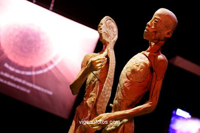 ÉRASE UNA VEGADA LA VIDA. L'EXPOSICIÓ. ANATOMIA I COSSOS HUMANS. ESTACIÓ MARÍTIMA DE VIGO. 2009