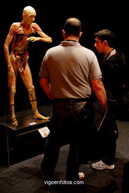 ÉRASE UNA VEGADA LA VIDA. L'EXPOSICIÓ. ANATOMIA I COSSOS HUMANS. ESTACIÓ MARÍTIMA DE VIGO. 2009