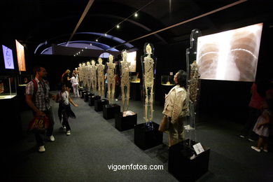 ÉRASE UNA VEGADA LA VIDA. L'EXPOSICIÓ. ANATOMIA I COSSOS HUMANS. ESTACIÓ MARÍTIMA DE VIGO. 2009