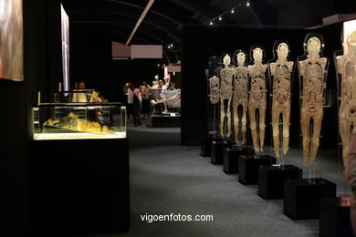 ANATOMÍA Y CUERPOS HUMANOS. PLASTINACIÓN: ÉRASE UNA VEZ LA VIDA. LA EXPOSICIÓN VIGO. 2009