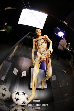 ÉRASE UNA VEGADA LA VIDA. L'EXPOSICIÓ. ANATOMIA I COSSOS HUMANS. ESTACIÓ MARÍTIMA DE VIGO. 2009