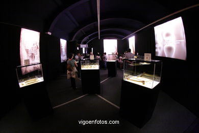 ANATOMÍA Y CUERPOS HUMANOS. PLASTINACIÓN: ÉRASE UNA VEZ LA VIDA. LA EXPOSICIÓN VIGO. 2009