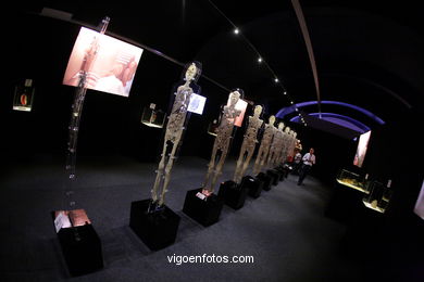 ANATOMÍA Y CUERPOS HUMANOS. PLASTINACIÓN: ÉRASE UNA VEZ LA VIDA. LA EXPOSICIÓN VIGO. 2009